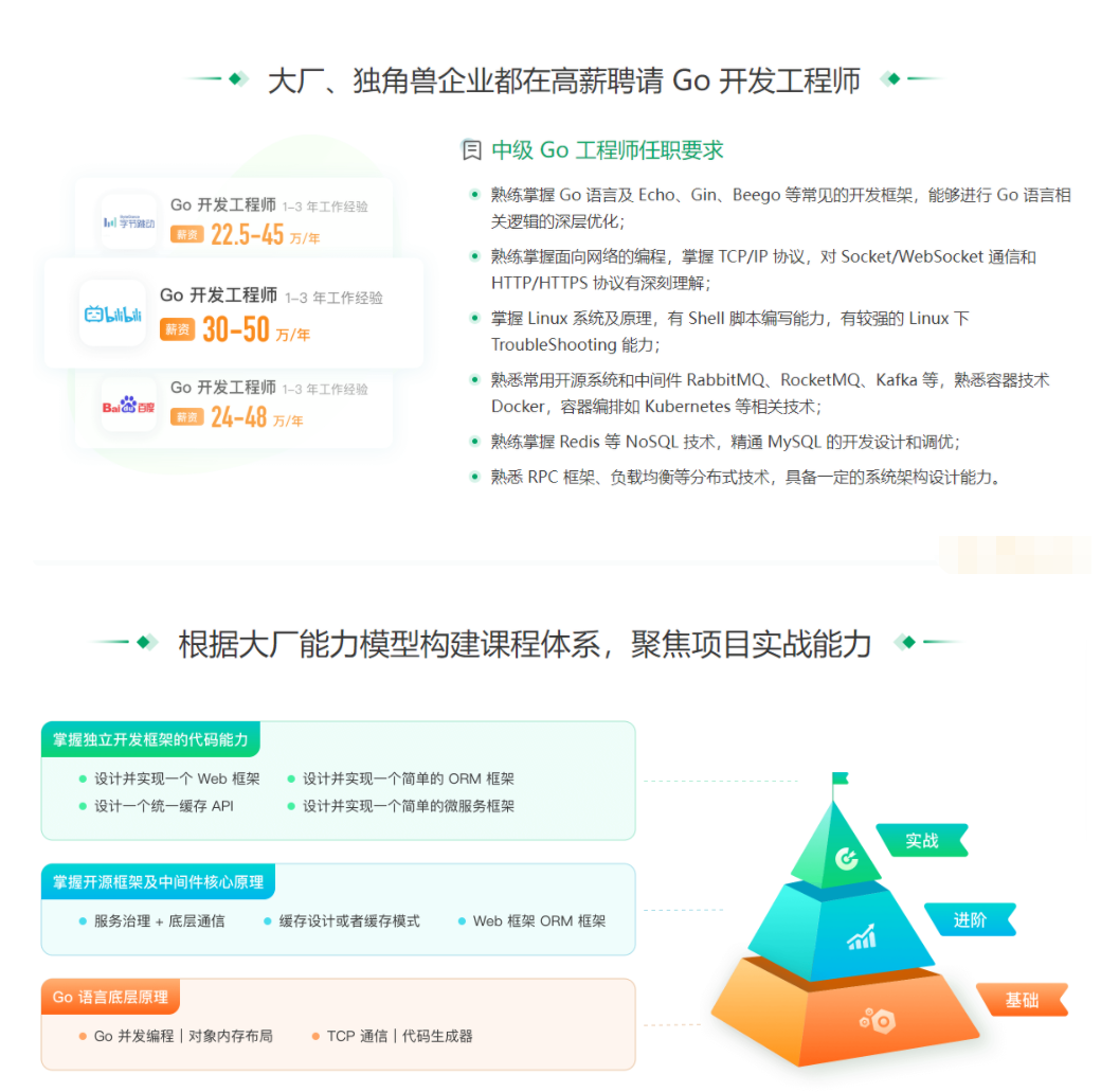 极客时间-Go实战训练营0期-价值5999元-2022年-重磅首发-包更新-无秘13周