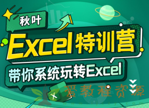 秋叶 Excel数据处理训练营|12G