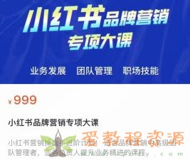 小红书品牌营销专项大课在线课原价999RMB