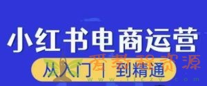 顽石小红书电商高阶运营课程，从入门到精通，玩法流程持续更新