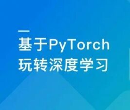 PyTorch深度学习开发医学影像端到端判别 | 2.8G